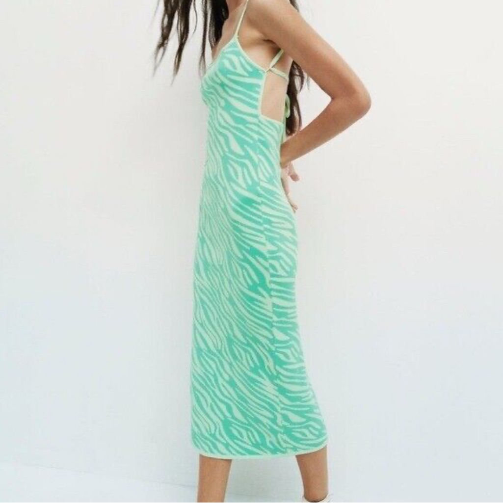 Zara Mint Green Zebra Print Dress